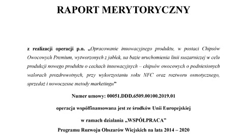 raport-merytoryczny